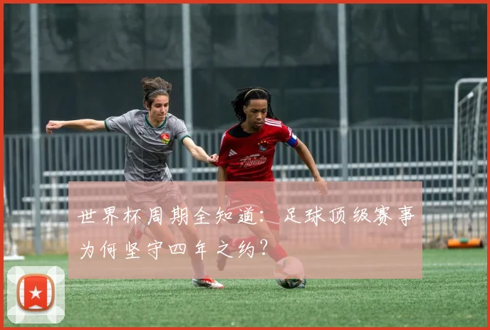 世界杯周期全知道：足球顶级赛事为何坚守四年之约？